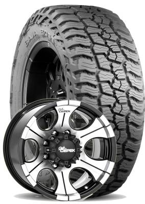 Mickey Thompson - LT305/65R17  M/T Baja Boss A/T on 17x9 Dick Cepek DC-2