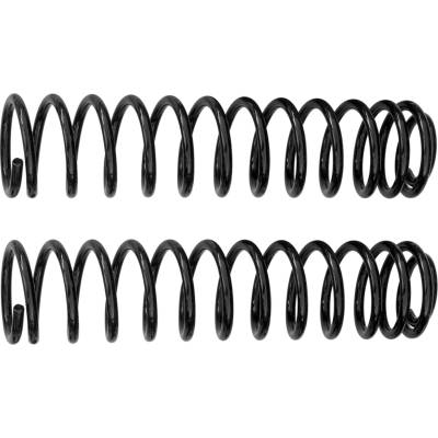 Rancho - Rancho Coil Spring Set RS80129B