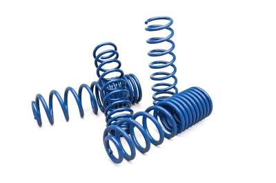 AEV - AEV JT 3" High Capacity Spring Kit - Gas